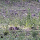 20112308130827-513.jpg